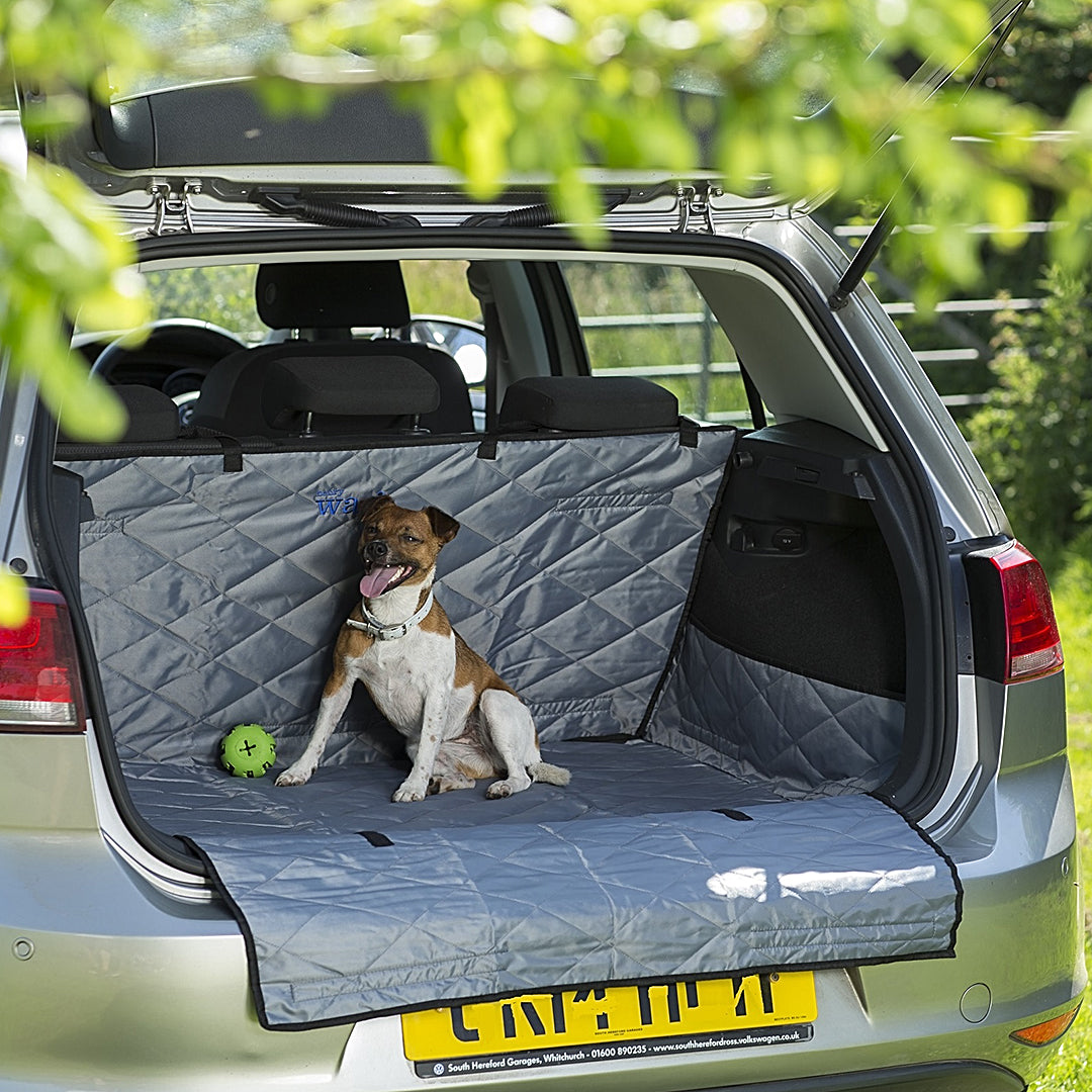 Car Boot Protector