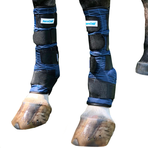 Cooling Horse Leg Wraps – Blue (Pair)