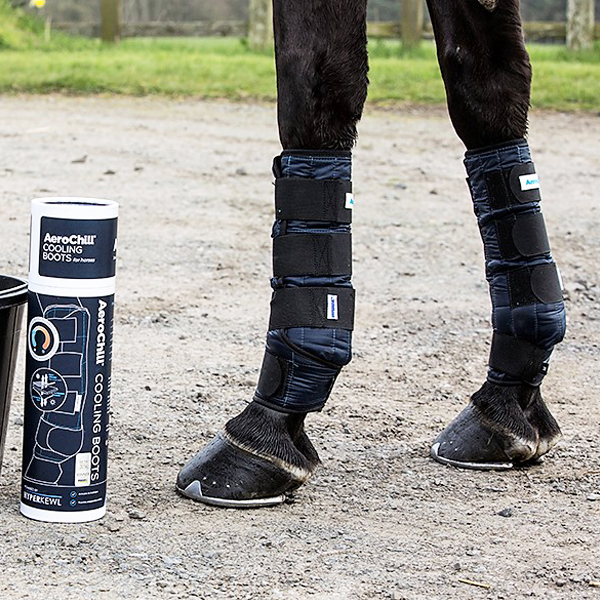 Cooling Horse Leg Wraps – Blue (Pair)