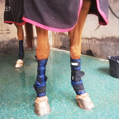Cooling Horse Leg Wraps – Blue (Pair)