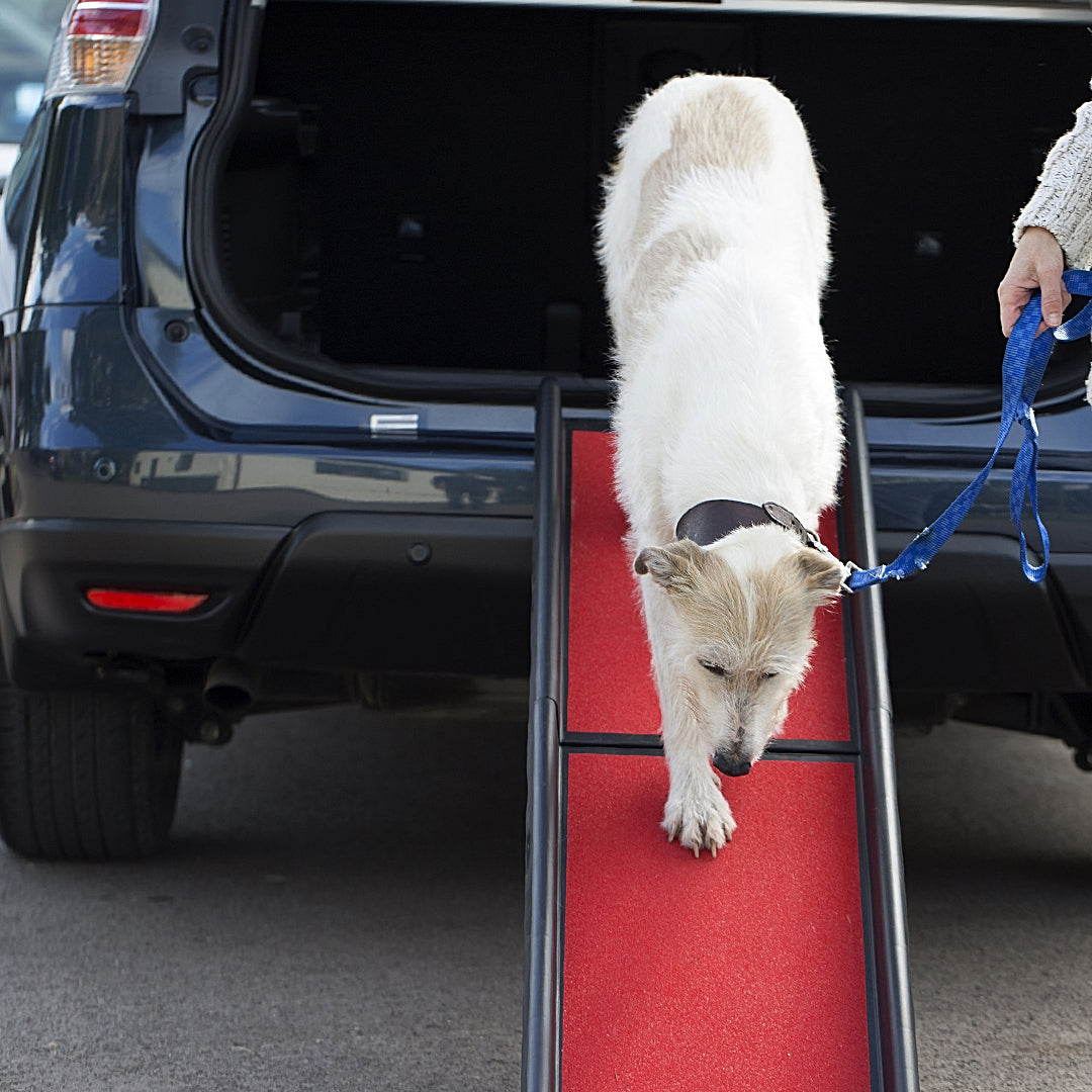 Foldable Dog Car Ramp